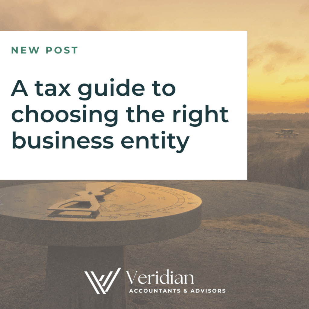 A tax guide to choosing the right business entity – Veridian ...